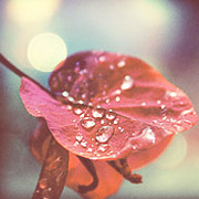 ddos在线攻击平台